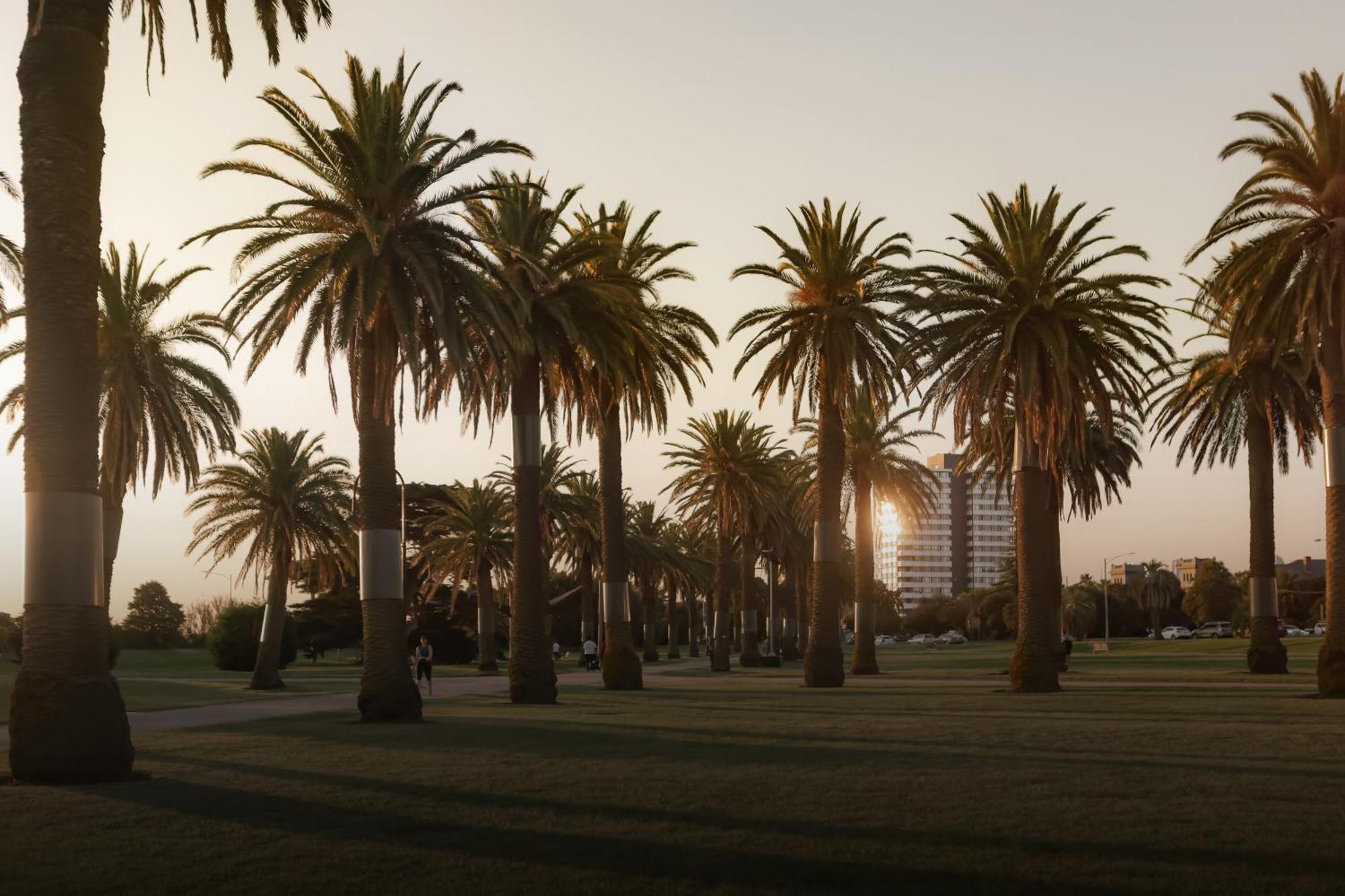 Mac St Kilda Blessington St By Melbourne Apartment Collection Εξωτερικό φωτογραφία